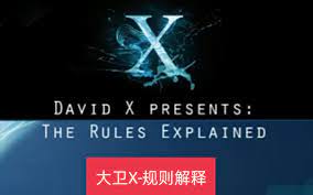 大卫《大卫X规则解释讲座》-山鸡博客