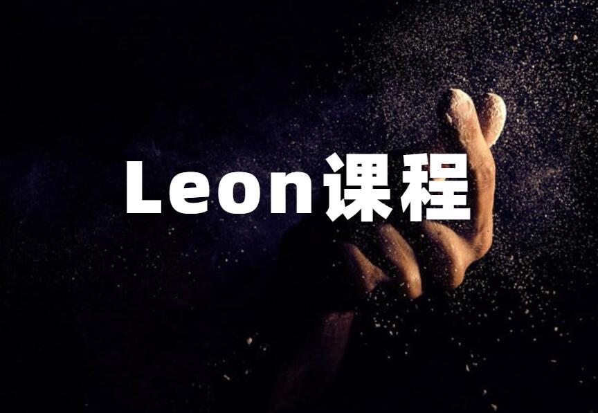 LEON《Leon内部课程》-山鸡博客