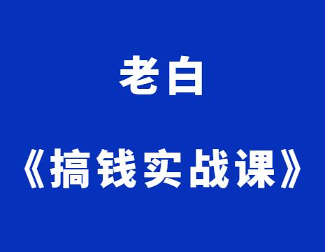 老白《搞钱实战课》-山鸡博客