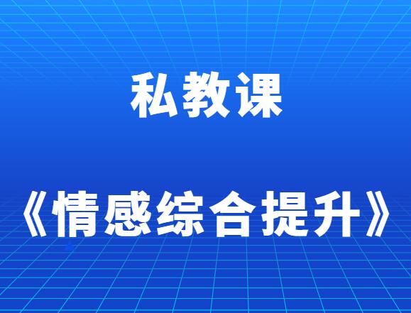 私教课《情感综合提升》