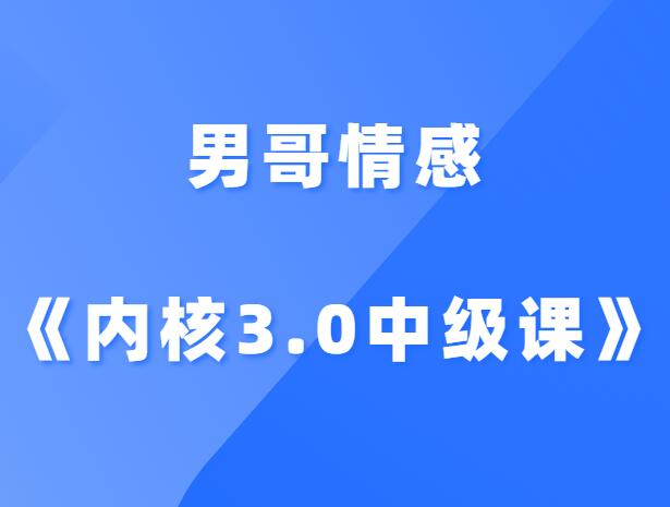 男哥情感《内核3.0中级课程》-山鸡博客