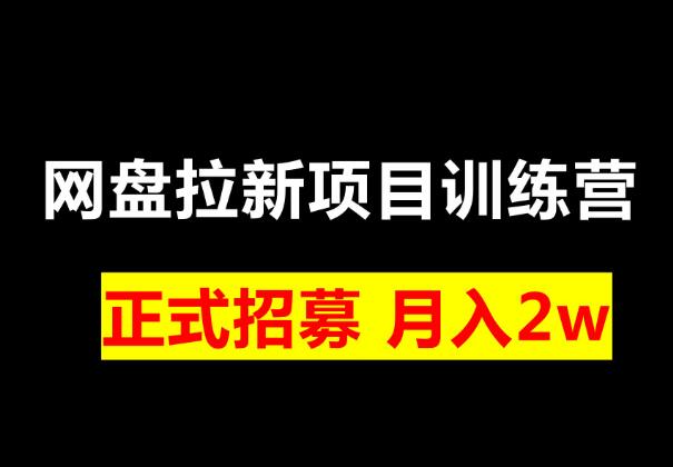 网盘拉新训练营