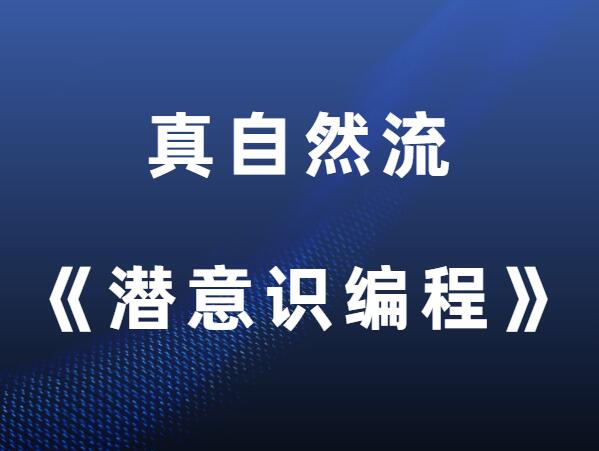 真自然流hero《潜意识编程》-山鸡博客