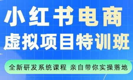 小红书虚拟项目特训班