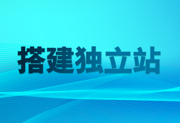 独立站新手入门体系化运营教程